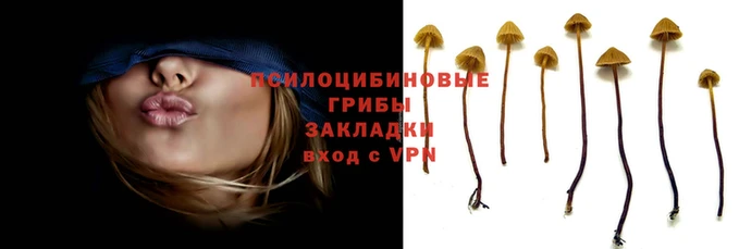 кокаин Алзамай